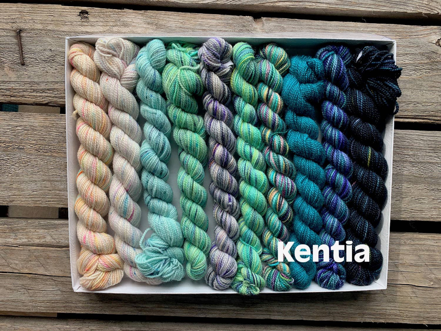 Koigu Pencil Box group 1