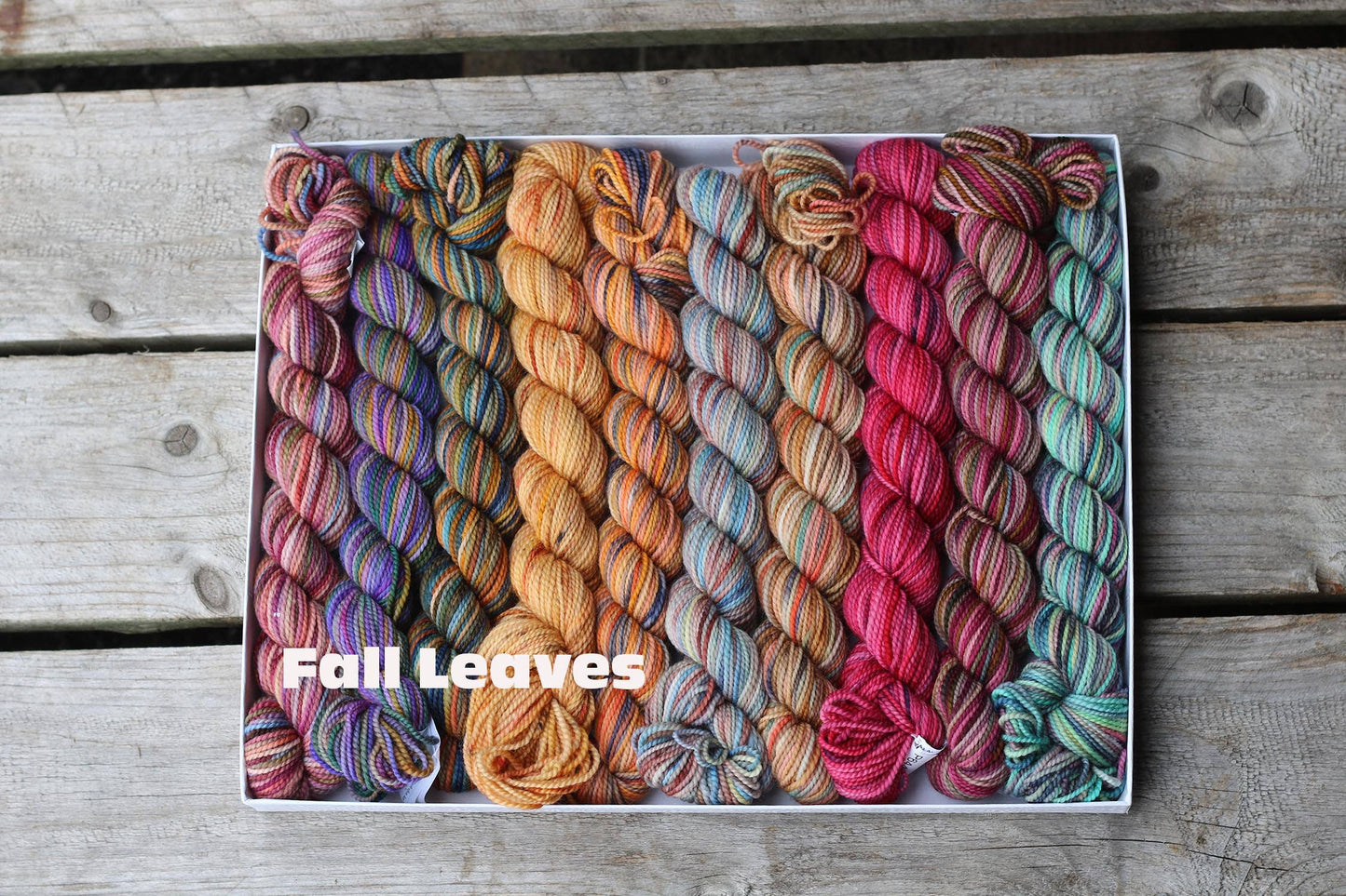 Koigu Pencil Box group 1