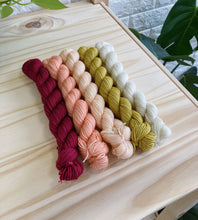 Load image into Gallery viewer, Coates &amp; Co - Cottage Sock Yarn: Hand Dyed Mini Skein Sets
